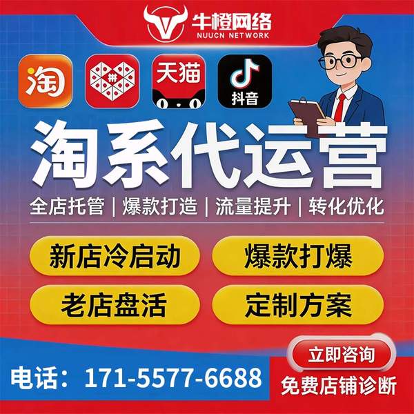 三明电商代运营