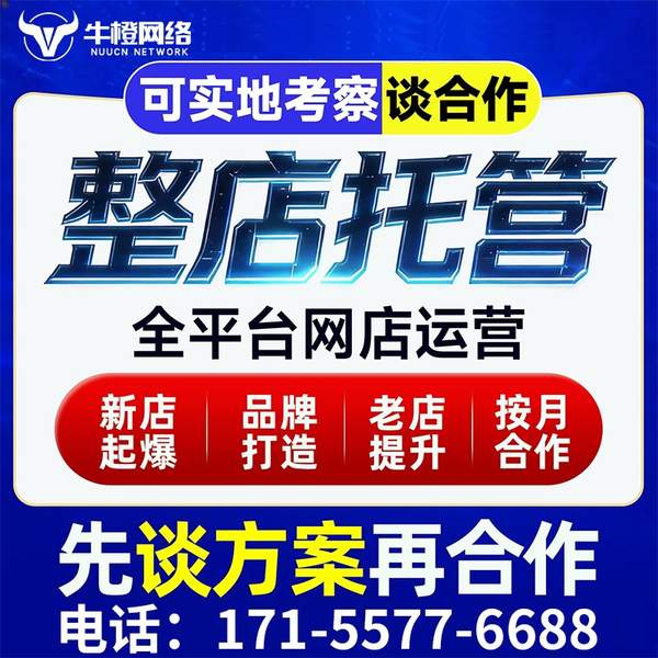 三明电商代运营