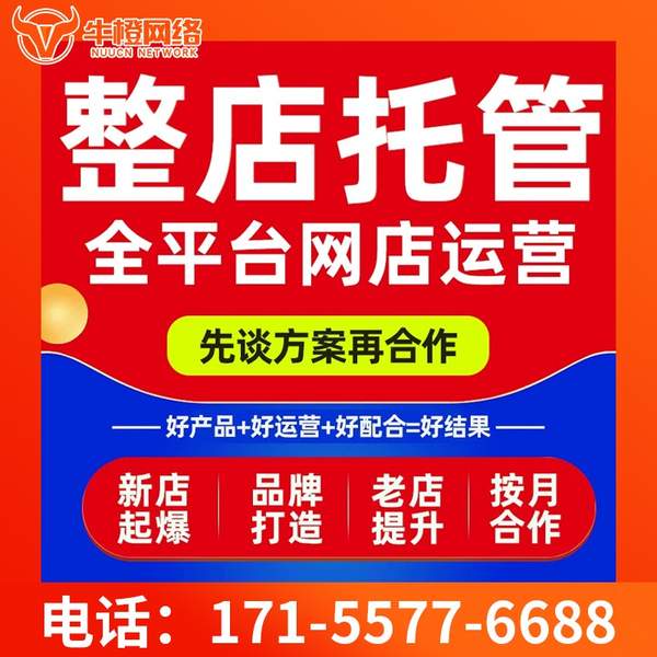 三明电商代运营