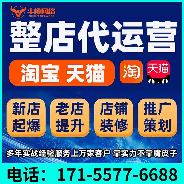 三明电商代运营