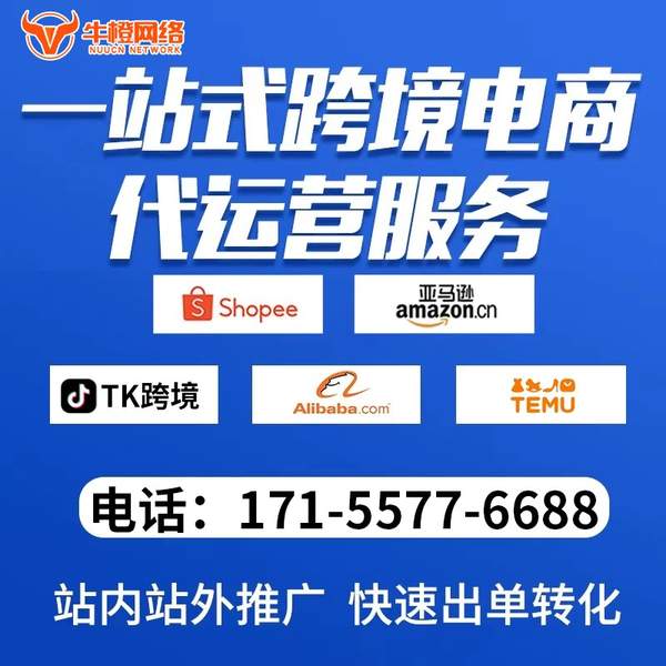 三明电商代运营