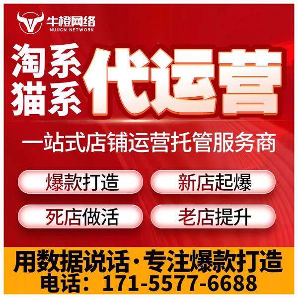 三明电商代运营